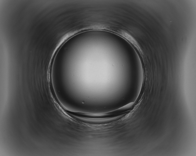 X0000086881436200704161211