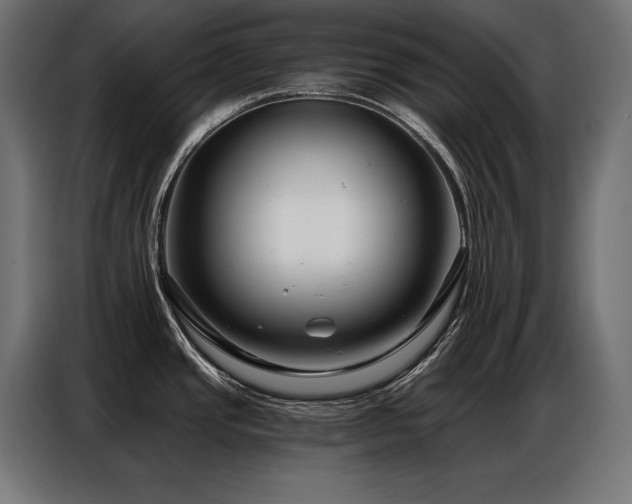 X0000086881437200704161211