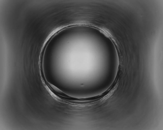 X0000086881438200704161211