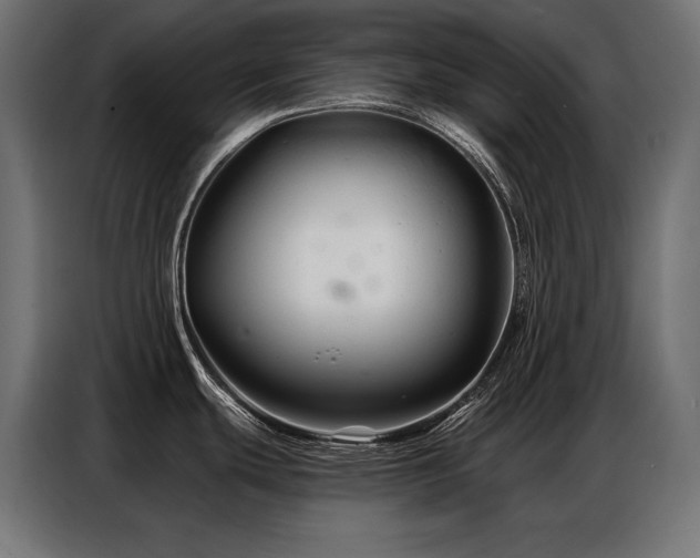 X0000086881439200704161211