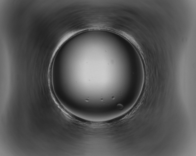 X0000086881440200704161211