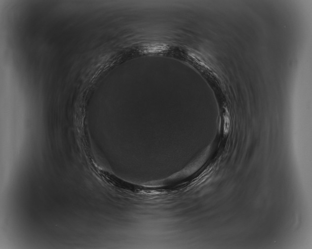 X0000086881441200704161210