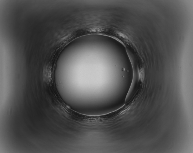 X0000086881444200704161210