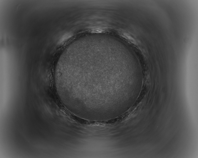 X0000086881446200704161210