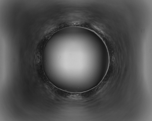 X0000086881447200704161210