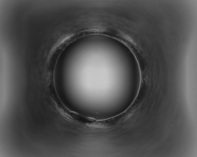 X0000086881448200704161210