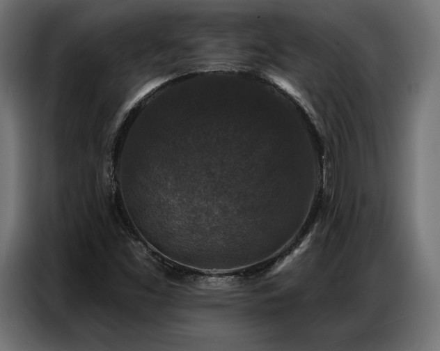 X0000086881453200704161210