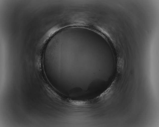 X0000086881455200704161210