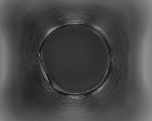 X0000086881457200704161210