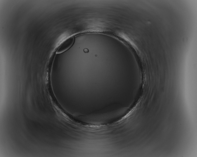 X0000086881459200704161210