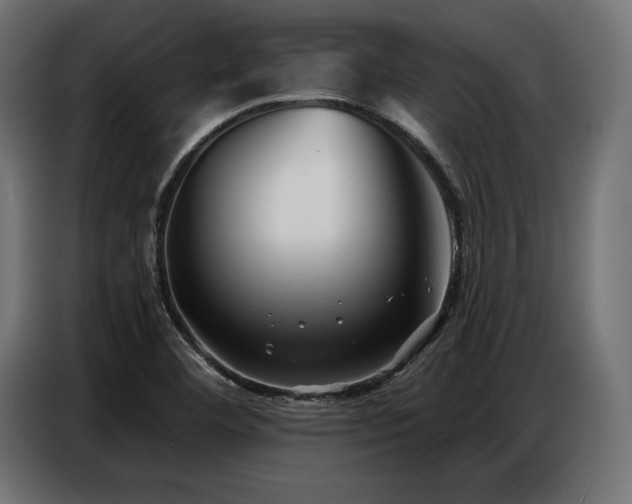 X0000086881460200704161210