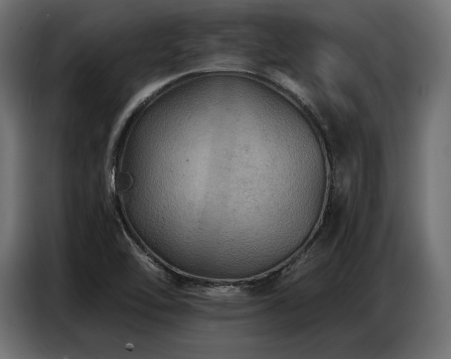 X0000086881462200704161210