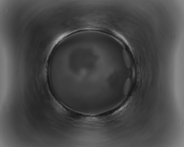 X0000086881463200704161210