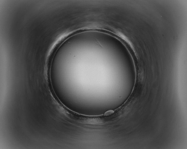 X0000086881464200704161210