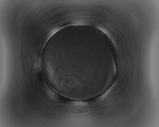 X0000086881465200704161210