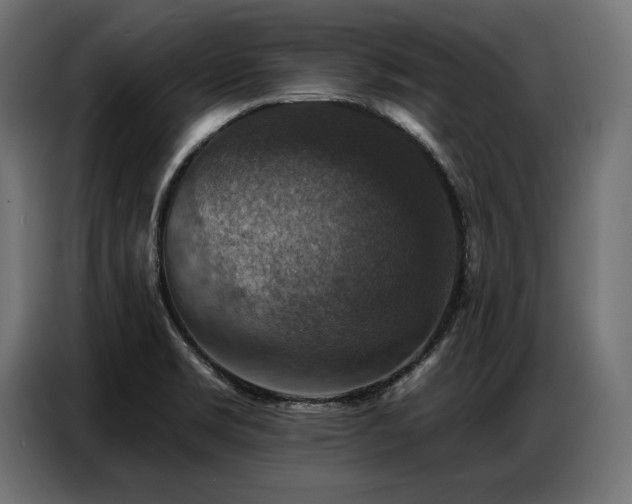 X0000086881469200704161210