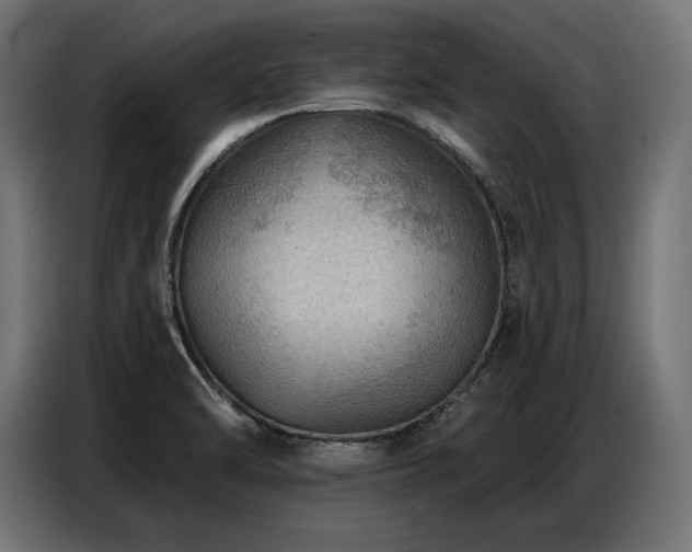 X0000086881470200704161210