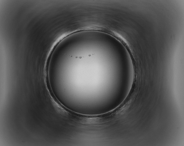 X0000086881471200704161210