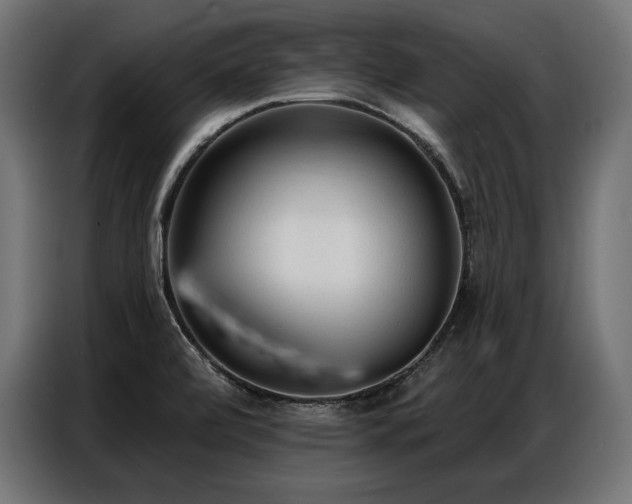 X0000086881472200704161210