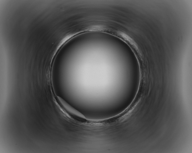 X0000086881473200704161210