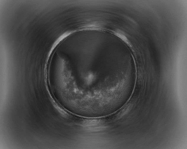 X0000086881474200704161210