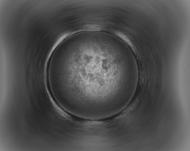 X0000086881475200704161210