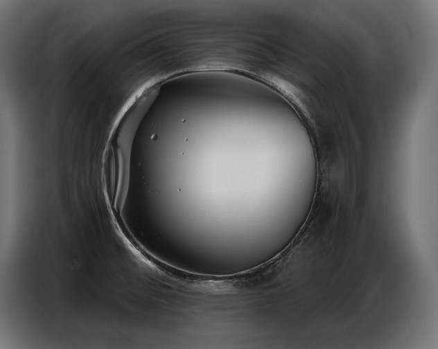 X0000086881476200704161210