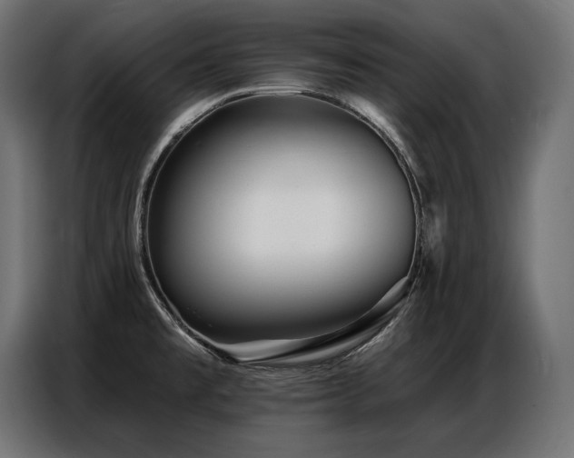 X0000086881477200704161210