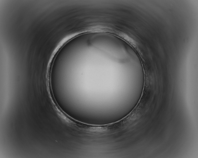 X0000086881478200704161210