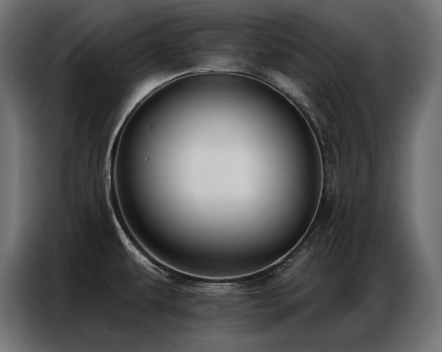 X0000086881479200704161210