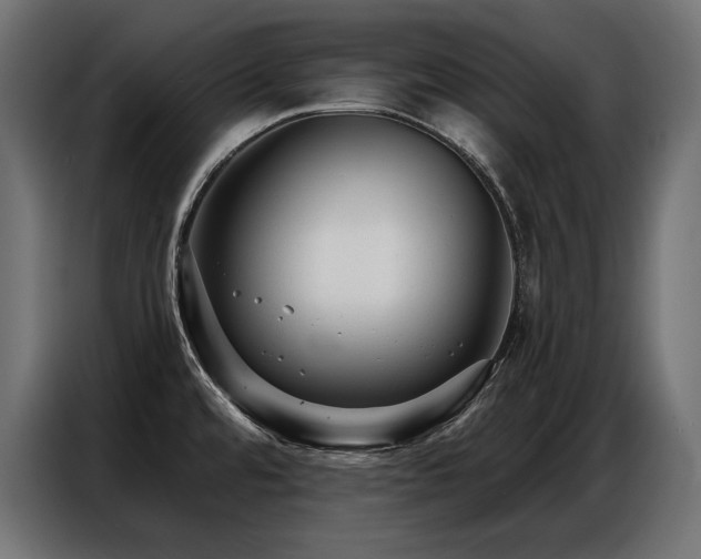 X0000086881480200704161210