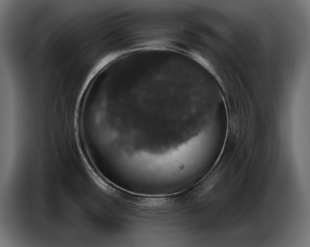 X0000086881482200704161210