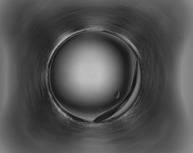 X0000086881484200704161210