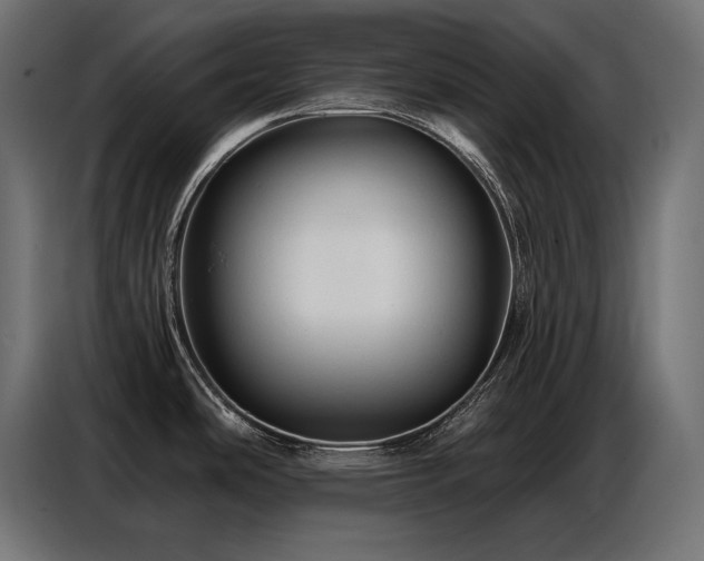 X0000086881486200704161210