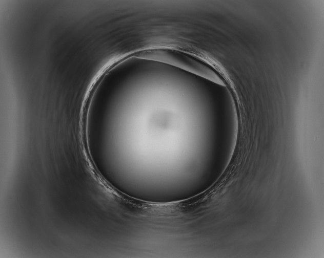 X0000086881488200704161210