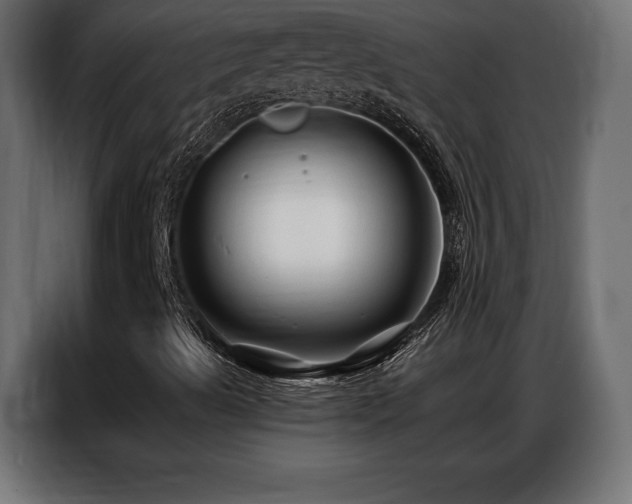 X0000086881489200704161209