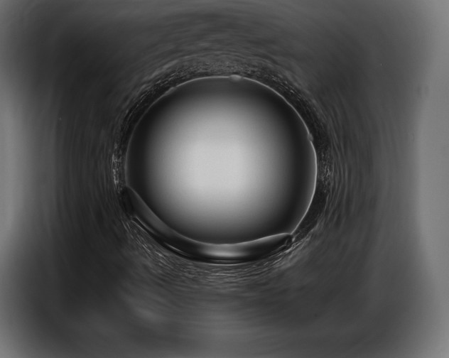 X0000086881490200704161209