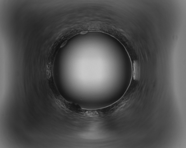 X0000086881491200704161209