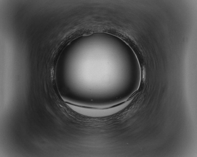 X0000086881492200704161209