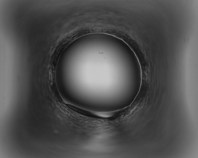 X0000086881493200704161209