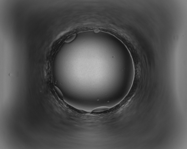 X0000086881494200704161209