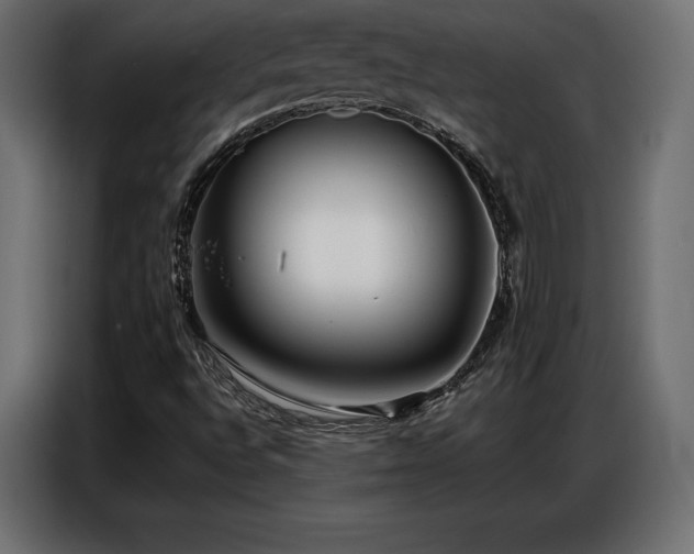 X0000086881496200704161209