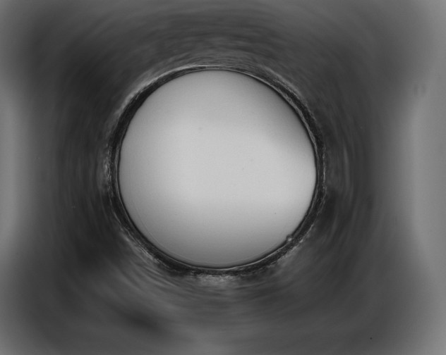 X0000086881498200704161209