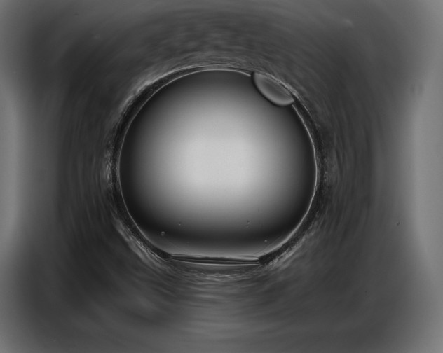 X0000086881499200704161209