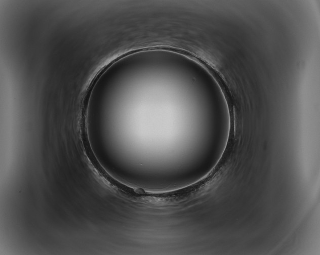 X0000086881500200704161209