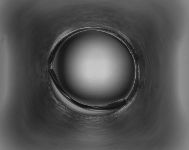 X0000086881501200704161209