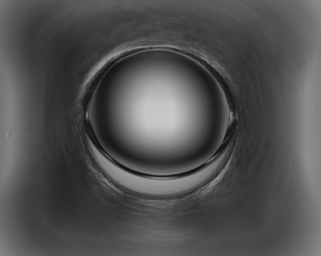 X0000086881502200704161209