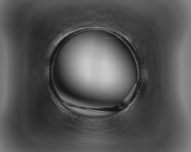 X0000086881503200704161209