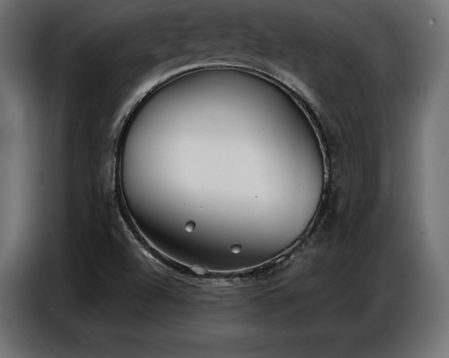 X0000086881504200704161209