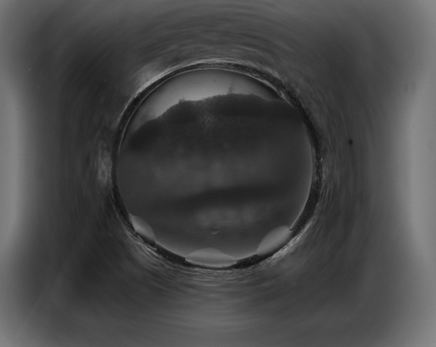 X0000086881505200704161209